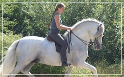 SabineTheissen – Reitkunst